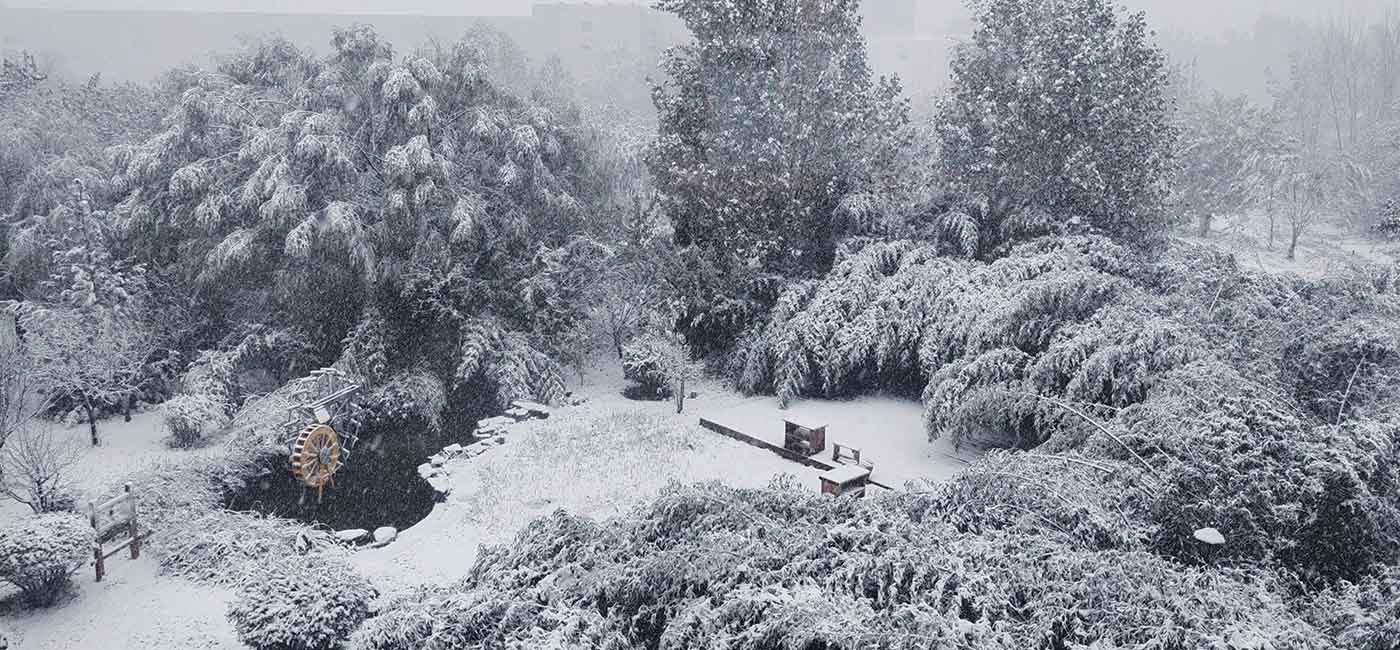 Company employees actively participate in snow removal2